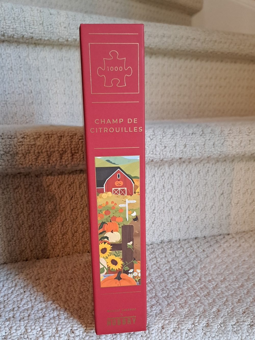 HOBBRY Pumpkin Patch 1000 Piece Jigsaw Puzzke. NEW! - Picture 3 of 5